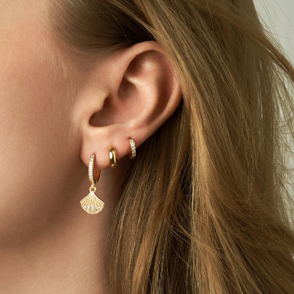 Elegant Shell Dangle Drop Earrings in 14K Gold